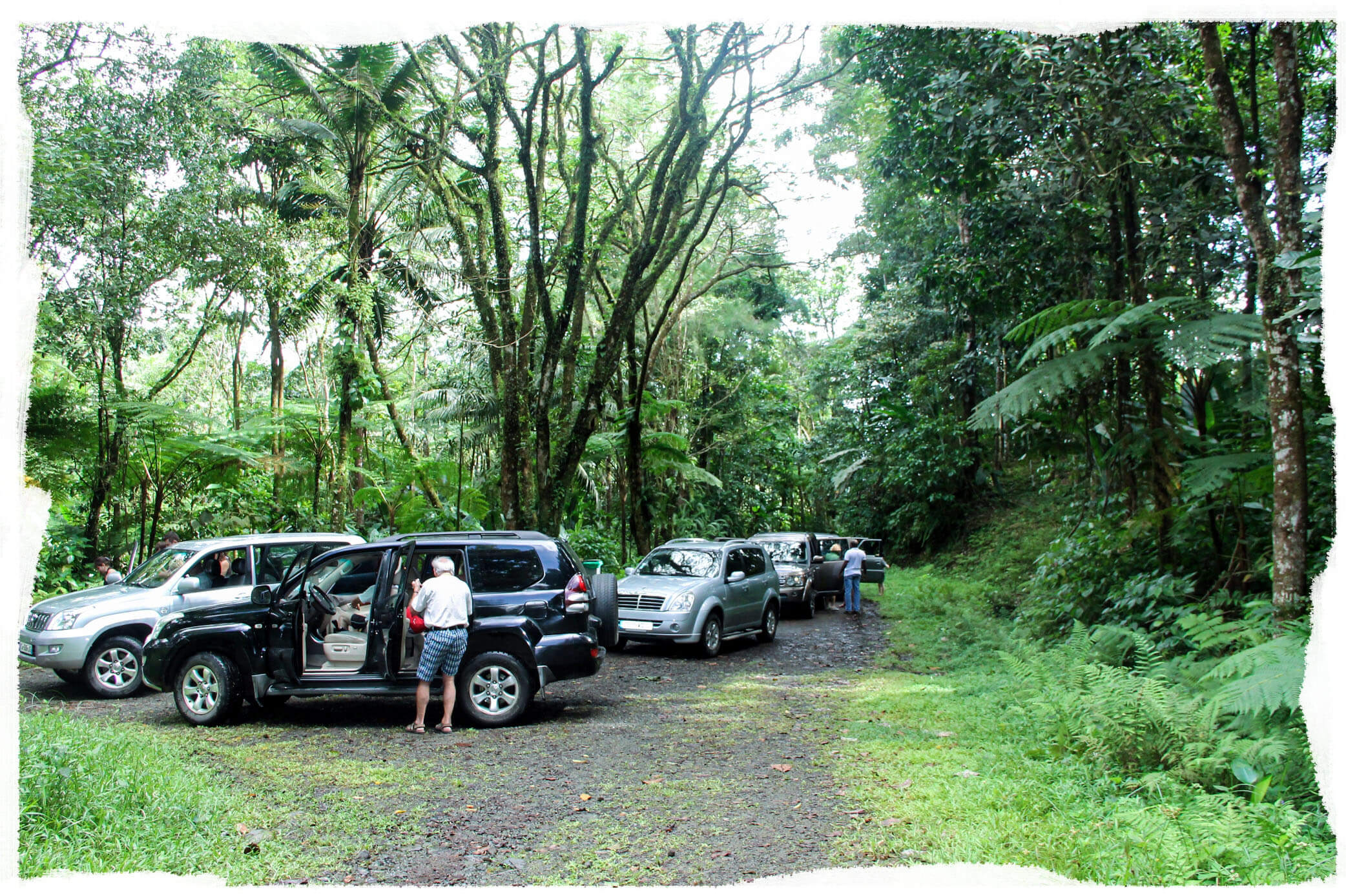 Excursion Nord Caraïbes 4x4