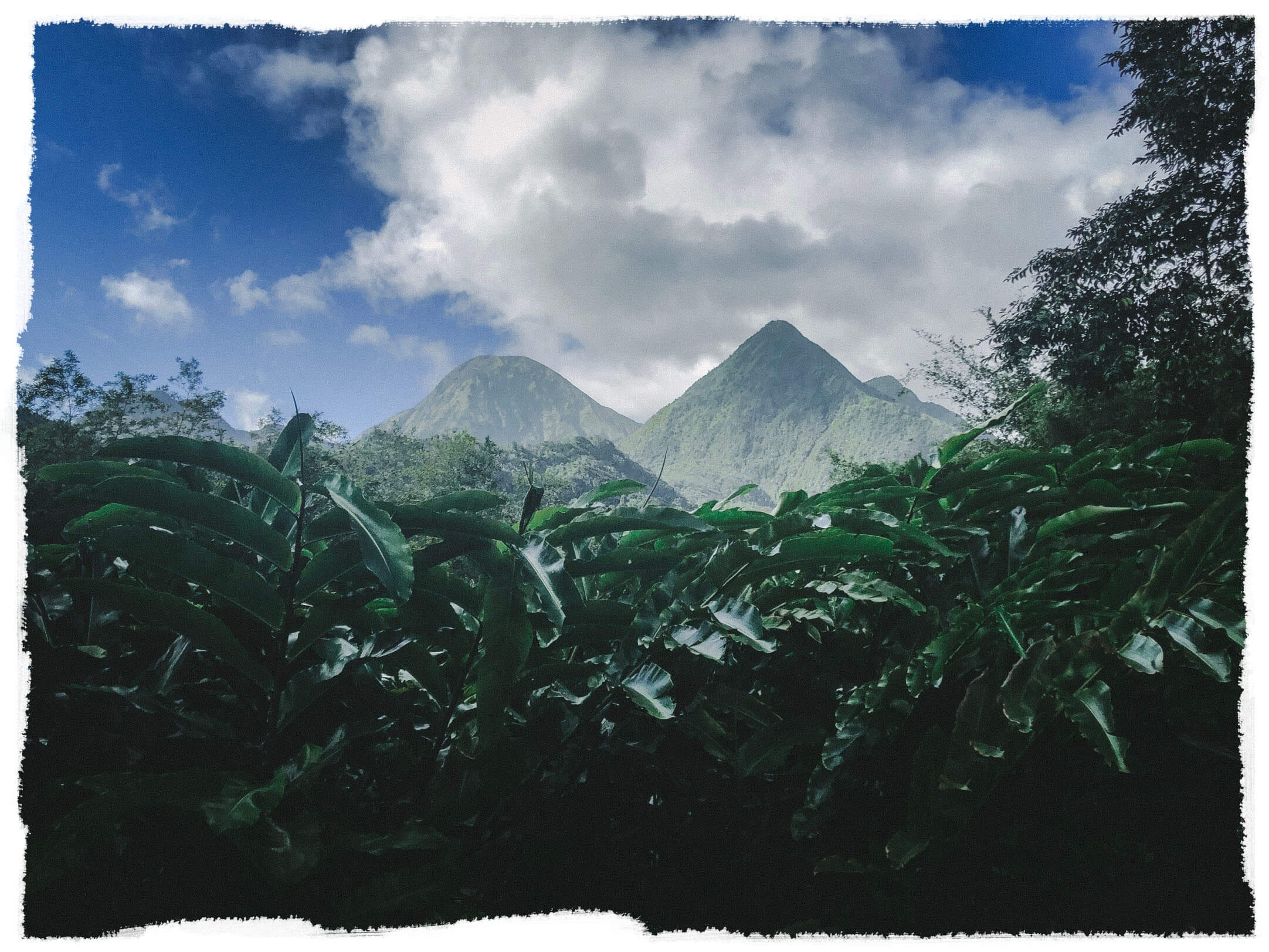 Découvrez la Martinique autrement dans une ambiance fun et festive ou le Farniente rythmera votre journée sur l’arc en ciel.