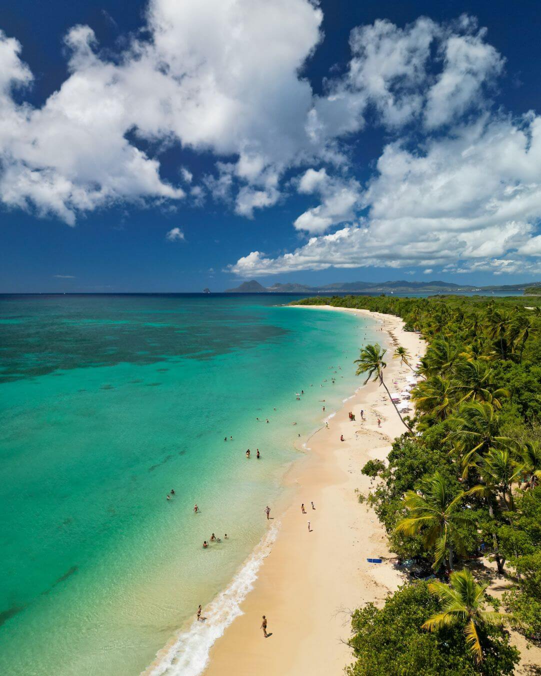 Caraïbes Découverte Martinique