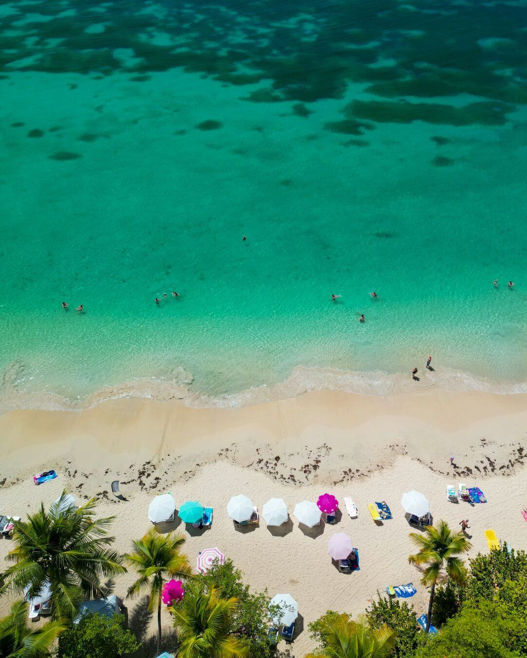 Caraïbes Découverte Martinique